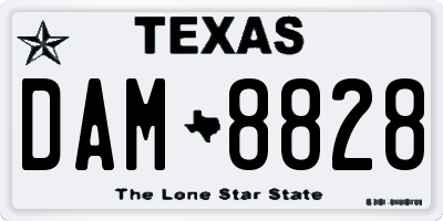 TX license plate DAM8828