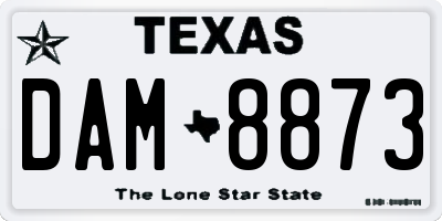 TX license plate DAM8873