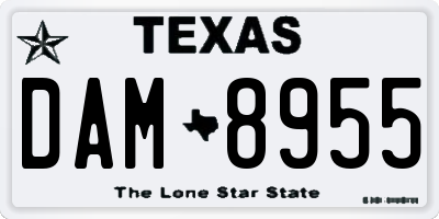 TX license plate DAM8955