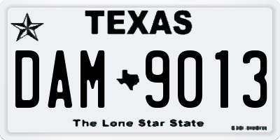 TX license plate DAM9013