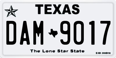 TX license plate DAM9017