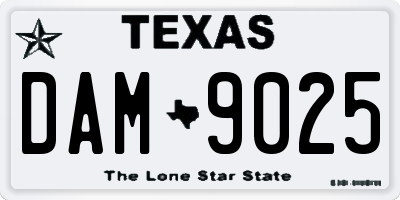 TX license plate DAM9025