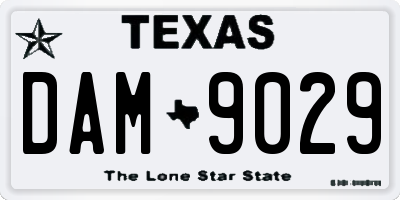 TX license plate DAM9029