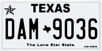 TX license plate DAM9036