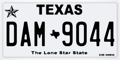 TX license plate DAM9044