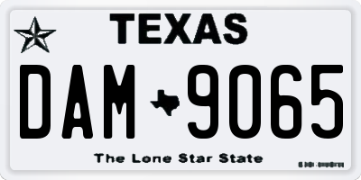 TX license plate DAM9065
