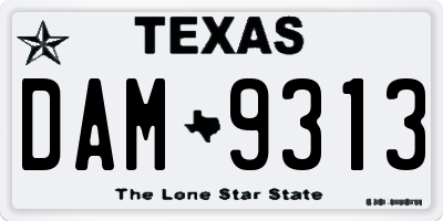 TX license plate DAM9313