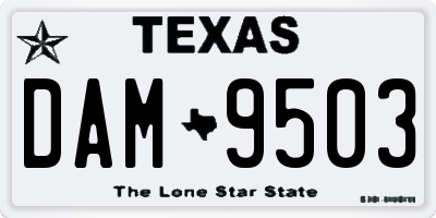 TX license plate DAM9503