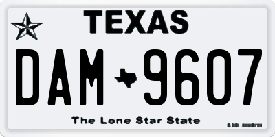 TX license plate DAM9607