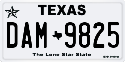 TX license plate DAM9825