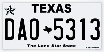 TX license plate DAO5313