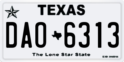 TX license plate DAO6313