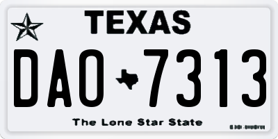 TX license plate DAO7313