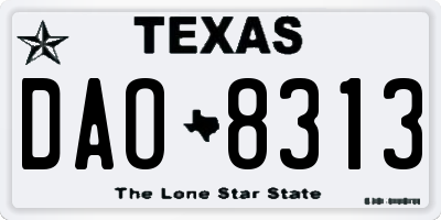 TX license plate DAO8313