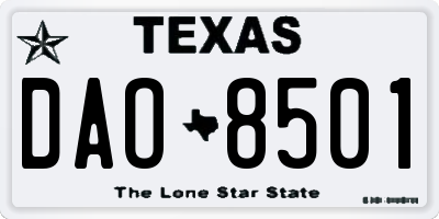 TX license plate DAO8501
