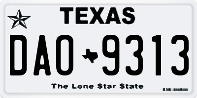 TX license plate DAO9313