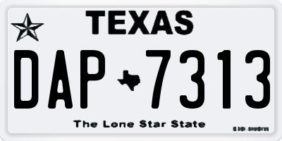 TX license plate DAP7313