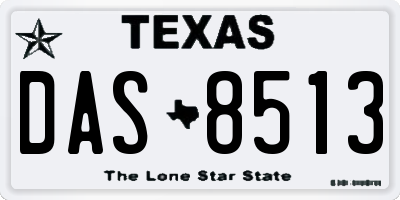 TX license plate DAS8513