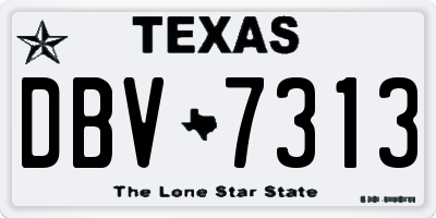 TX license plate DBV7313