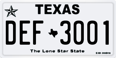 TX license plate DEF3001
