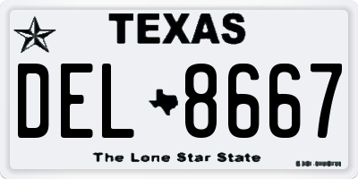 TX license plate DEL8667