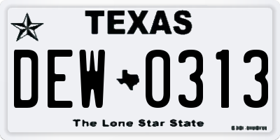 TX license plate DEW0313