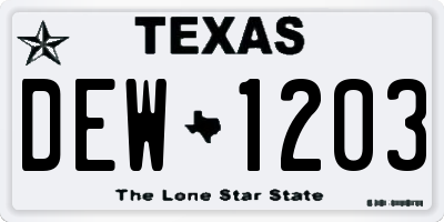 TX license plate DEW1203