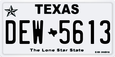 TX license plate DEW5613