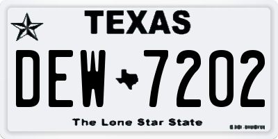 TX license plate DEW7202