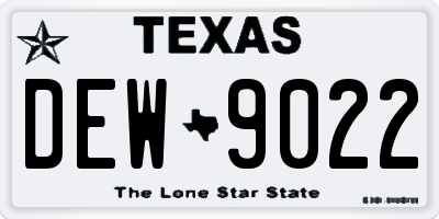 TX license plate DEW9022