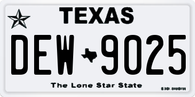TX license plate DEW9025