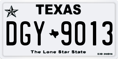 TX license plate DGY9013