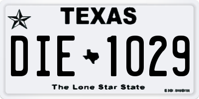TX license plate DIE1029