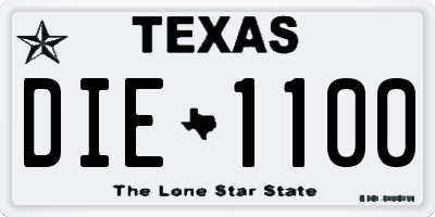 TX license plate DIE1100