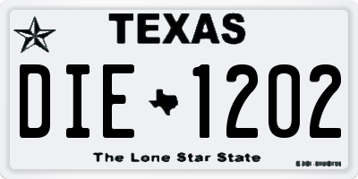 TX license plate DIE1202