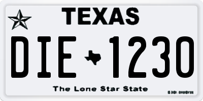 TX license plate DIE1230