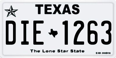 TX license plate DIE1263