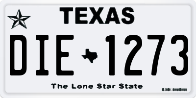 TX license plate DIE1273