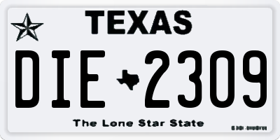 TX license plate DIE2309