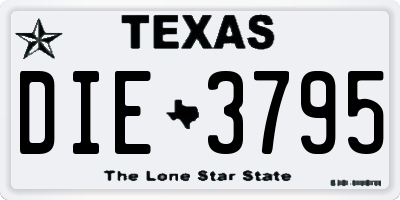 TX license plate DIE3795