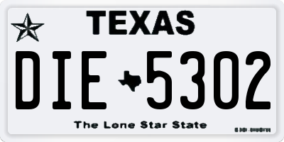 TX license plate DIE5302