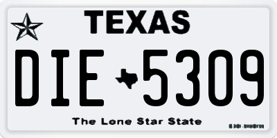 TX license plate DIE5309