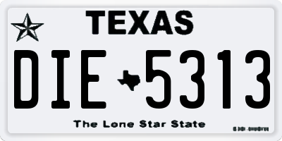TX license plate DIE5313