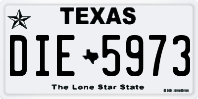 TX license plate DIE5973