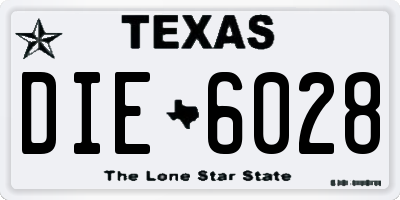 TX license plate DIE6028