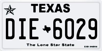 TX license plate DIE6029