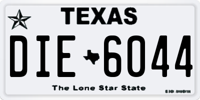 TX license plate DIE6044