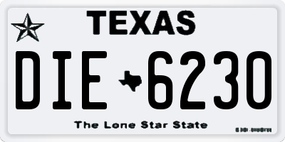 TX license plate DIE6230