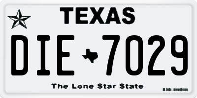 TX license plate DIE7029