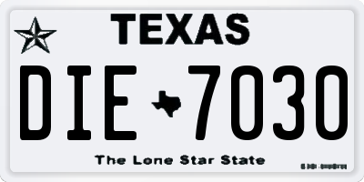 TX license plate DIE7030